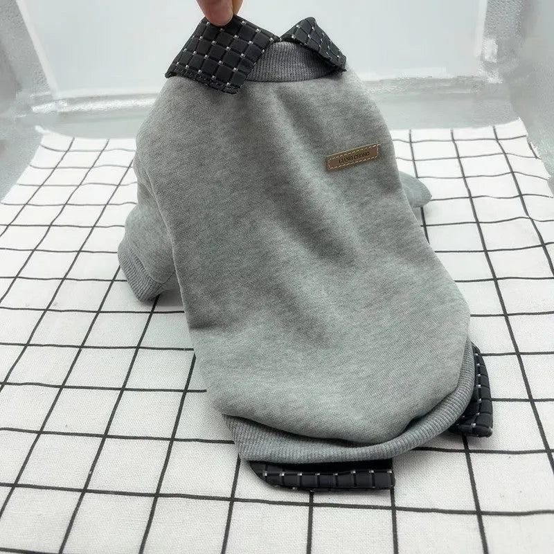 Two-piece grey dog sweater with detachable collar hoodie on canine model showing adjustable design