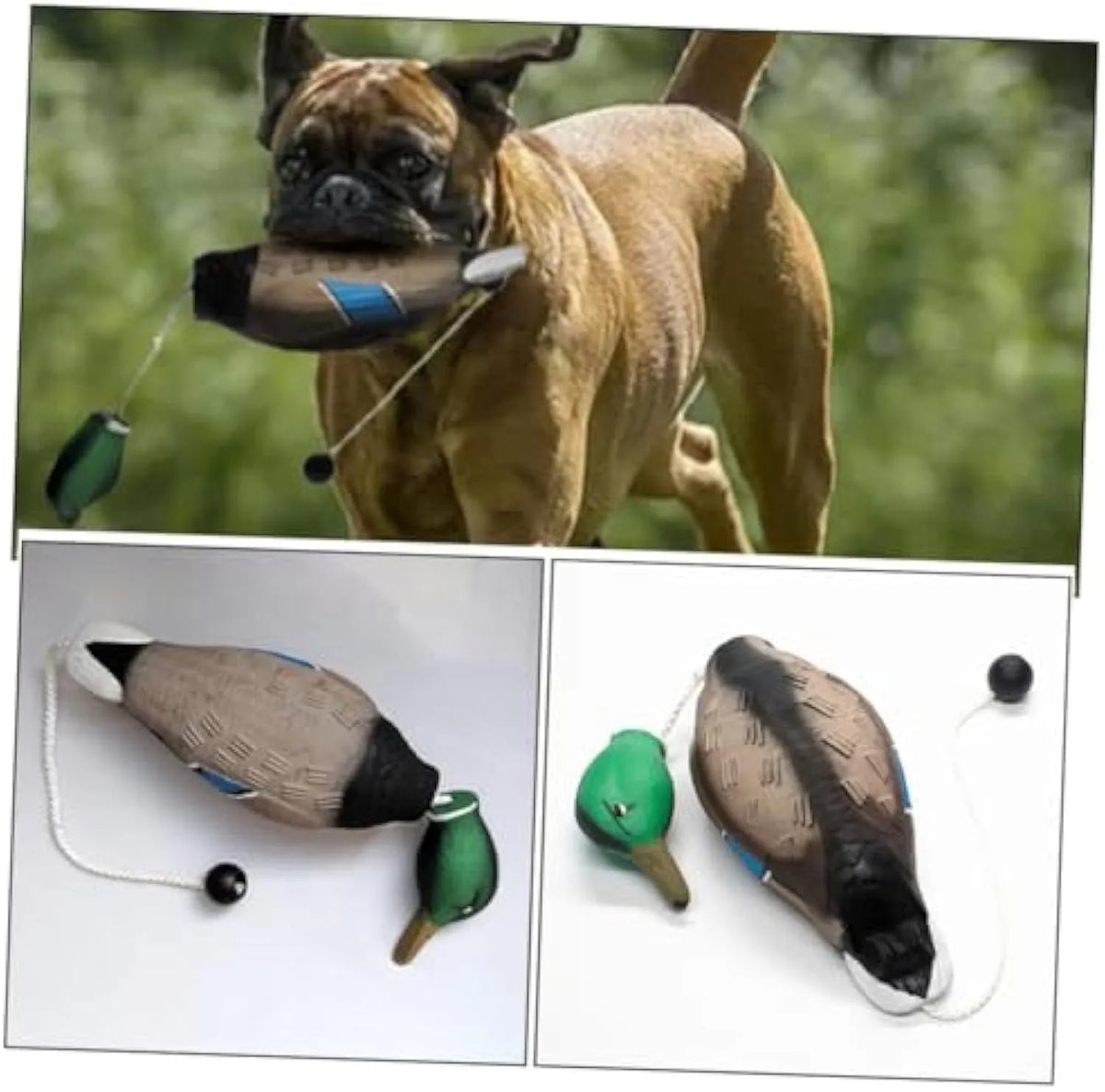 Green no-stuffing duck dog toy made from EVA, 35 cm x 10.5 cm x 8 cm, with quacking sound for chewing and training.