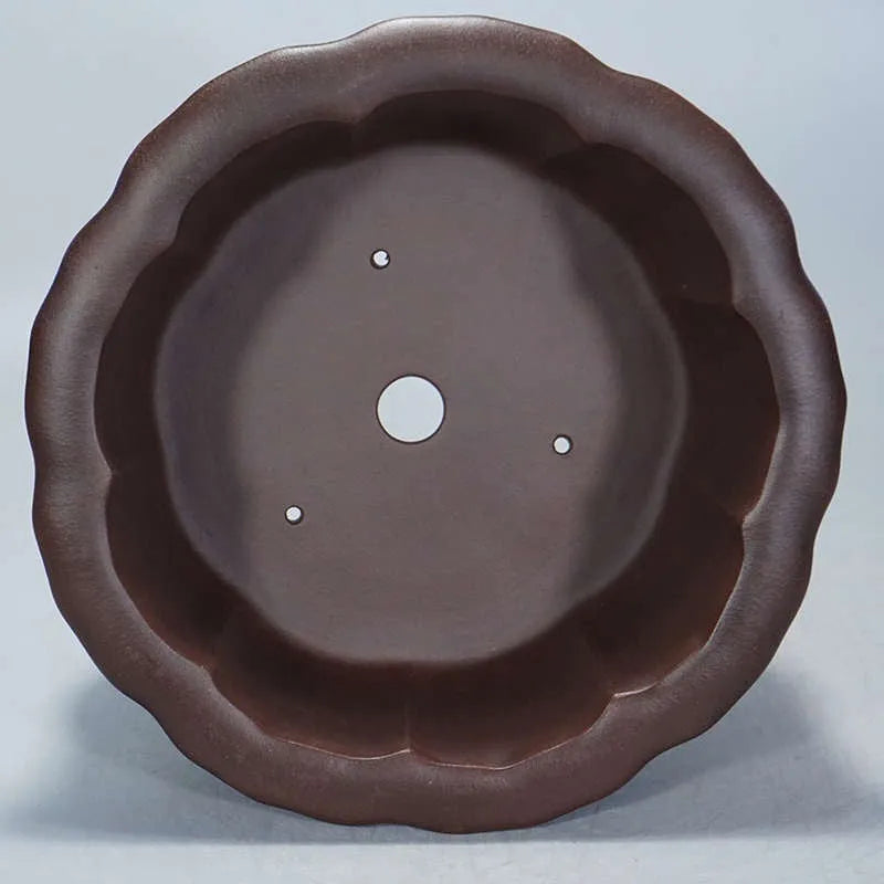 Square purple sand succulent bonsai pot with classical petal basin design, dimensions 37cm by 37cm by 20cm.