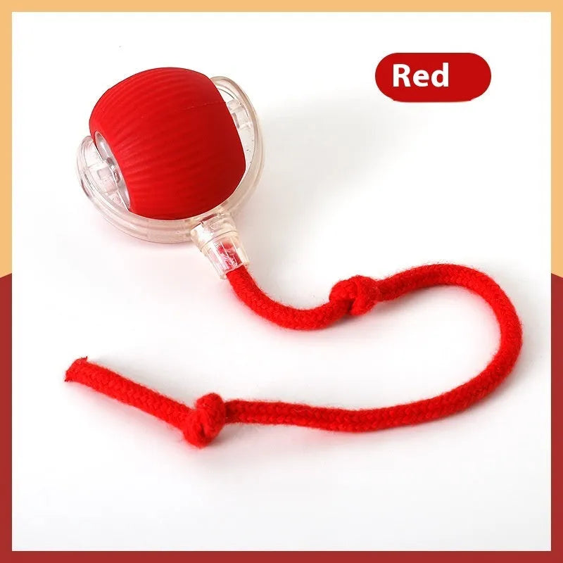 Interactive cat toy ball with realistic bird song for high-energy cats, available in red, green, and gray