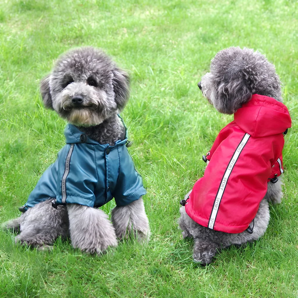 Waterproof hooded warm pet dog raincoat in yellow, blue, and red, cloth material, multiple sizes from XS to XXXL