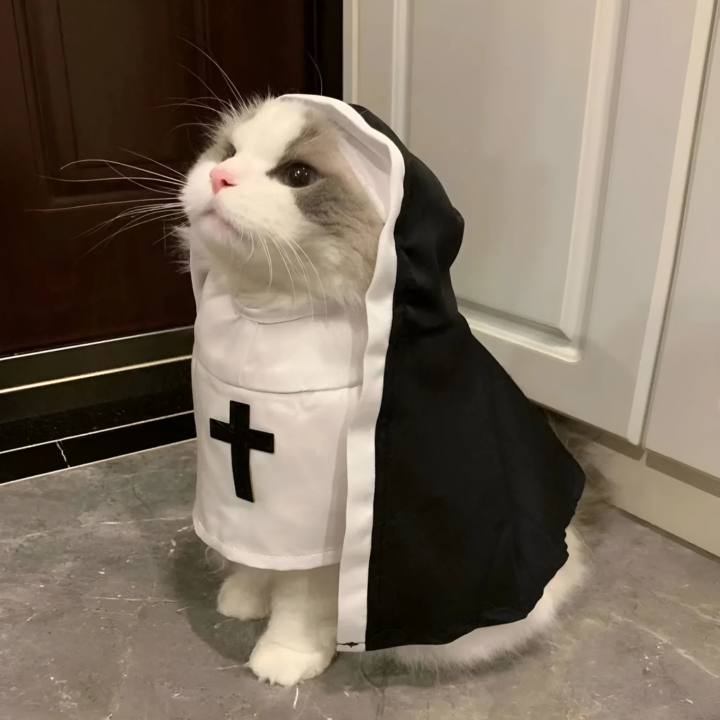 Black and white nun cloak costume on a small dog