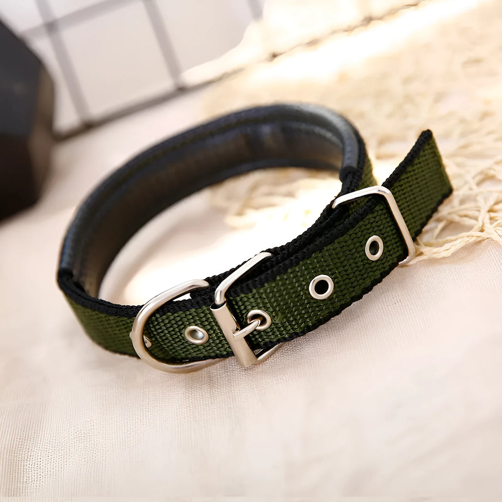 Nylon braid lined dog collar in blue with polypropylene PET foam padding, size 2.0x50cm