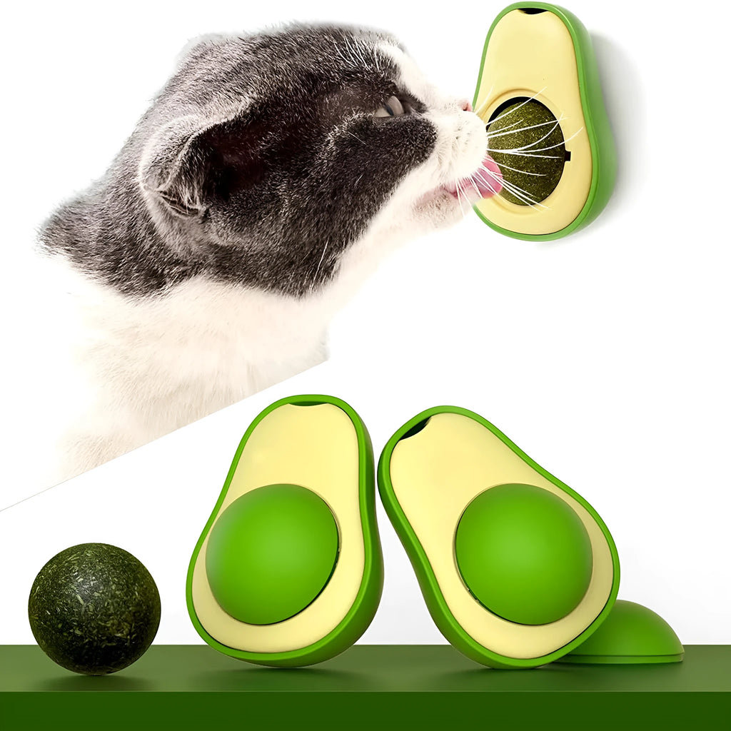 Avocado-shaped catnip wall toy attached to a smooth window with a silvervine ball for cat teeth cleaning