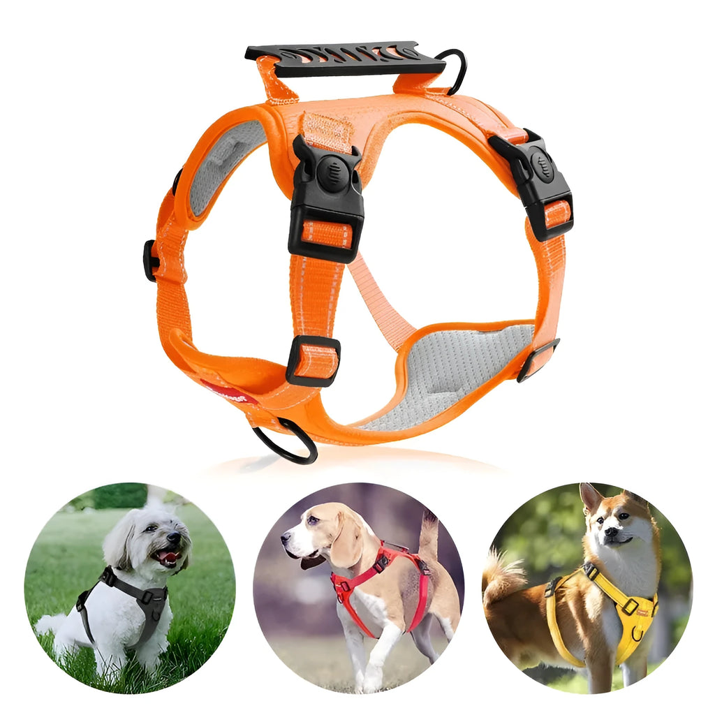 A black adjustable dog harness with a front chest D-ring, shown on a dog, demonstrating even strap placement.
