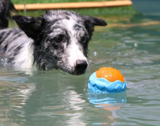 Blue dog toy ball 9 cm TPR material with squeak and glow features for chewing and fetch