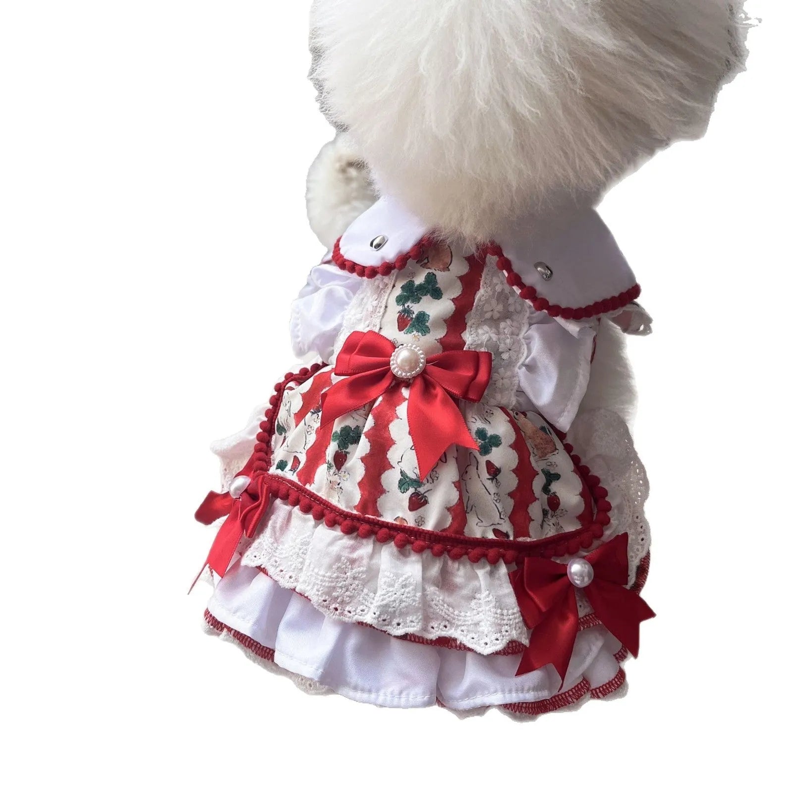 Small white dog wearing a white rabbit skirt princess style outfit with layered frills.