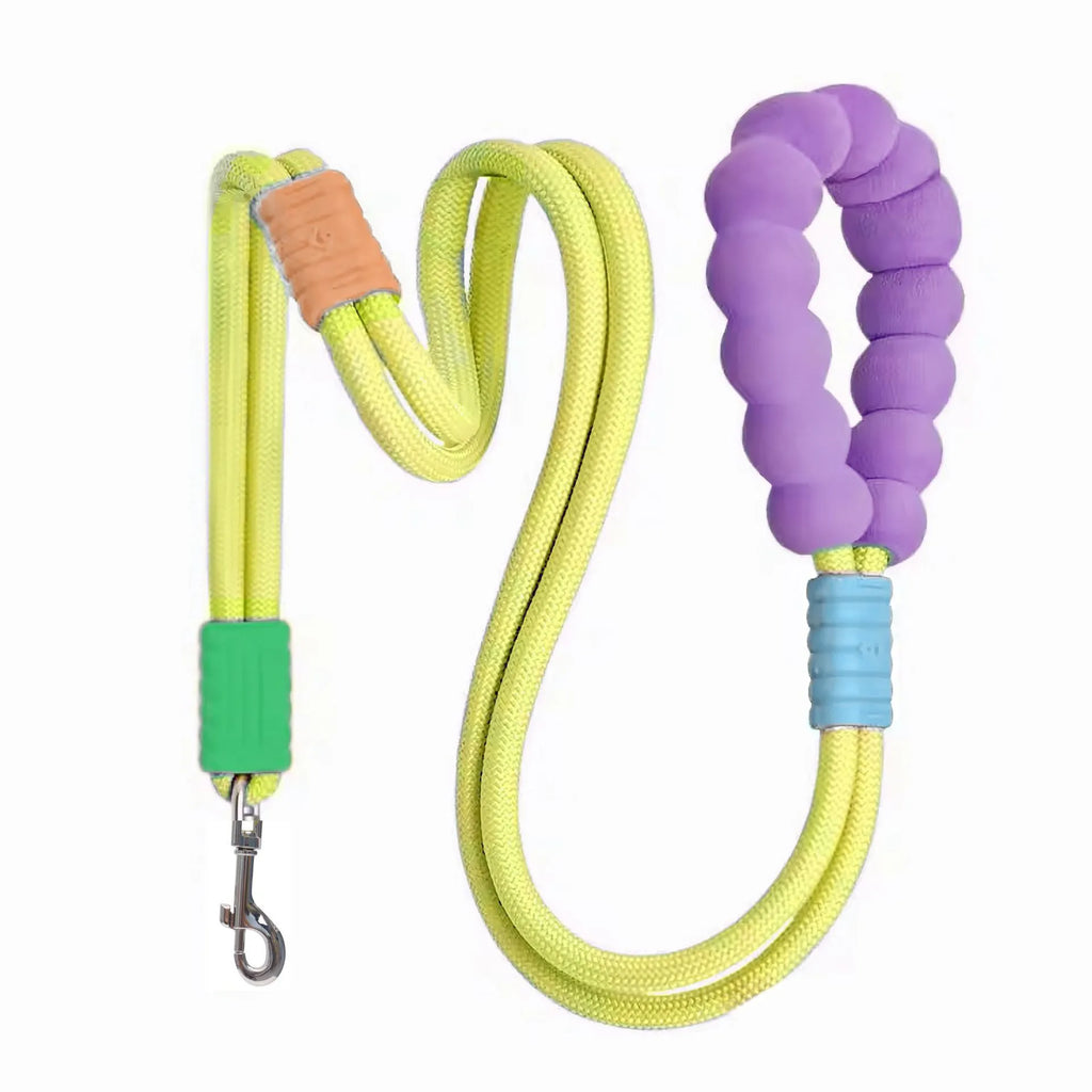 Nylon dog lead with foam handle showing black, light purple, sky blue and yellow colour options