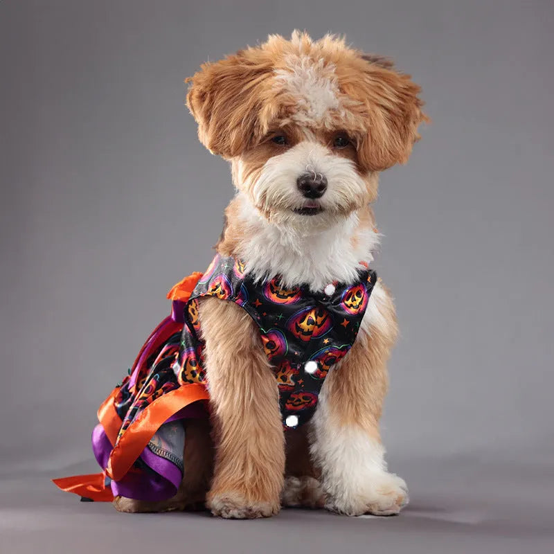 Halloween dog skirt with colourful pumpkin and skull prints, shown on a model dog.