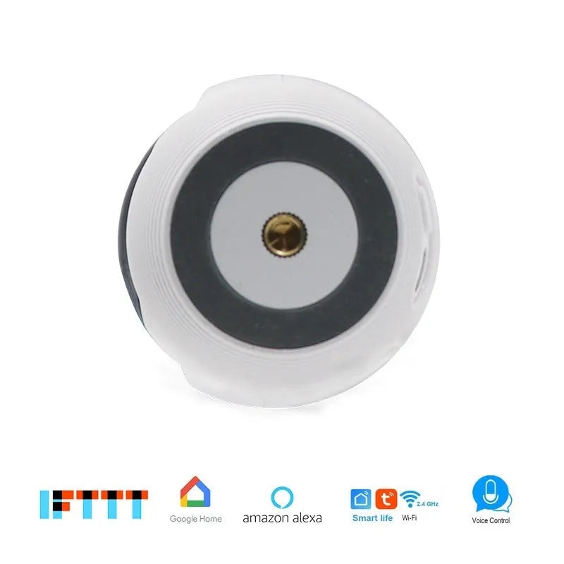 Miniature wireless network camera with 2 million pixel resolution and 2.95mm focal length for indoor mobile phone monitoring