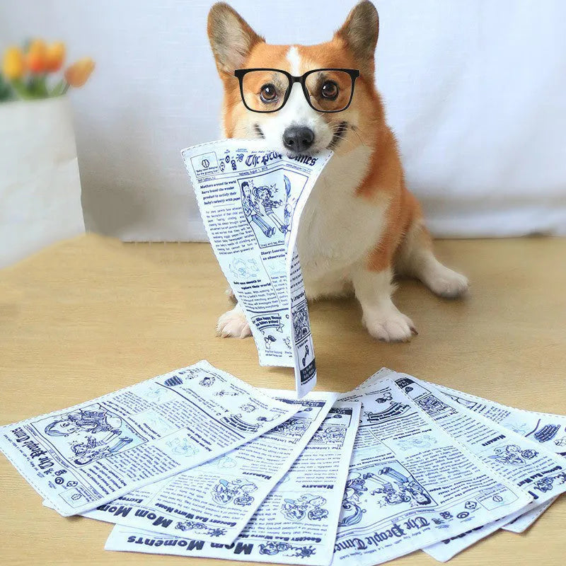 Tearproof dog toy with squeaker in newspaper or playing card designs for corgi and teddy puppies