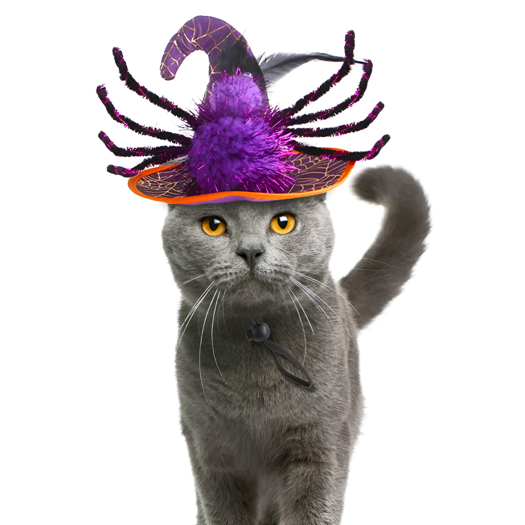Pet funny headdress for cats and dogs Halloween embossed cloth hat 17x14cm purple black orange