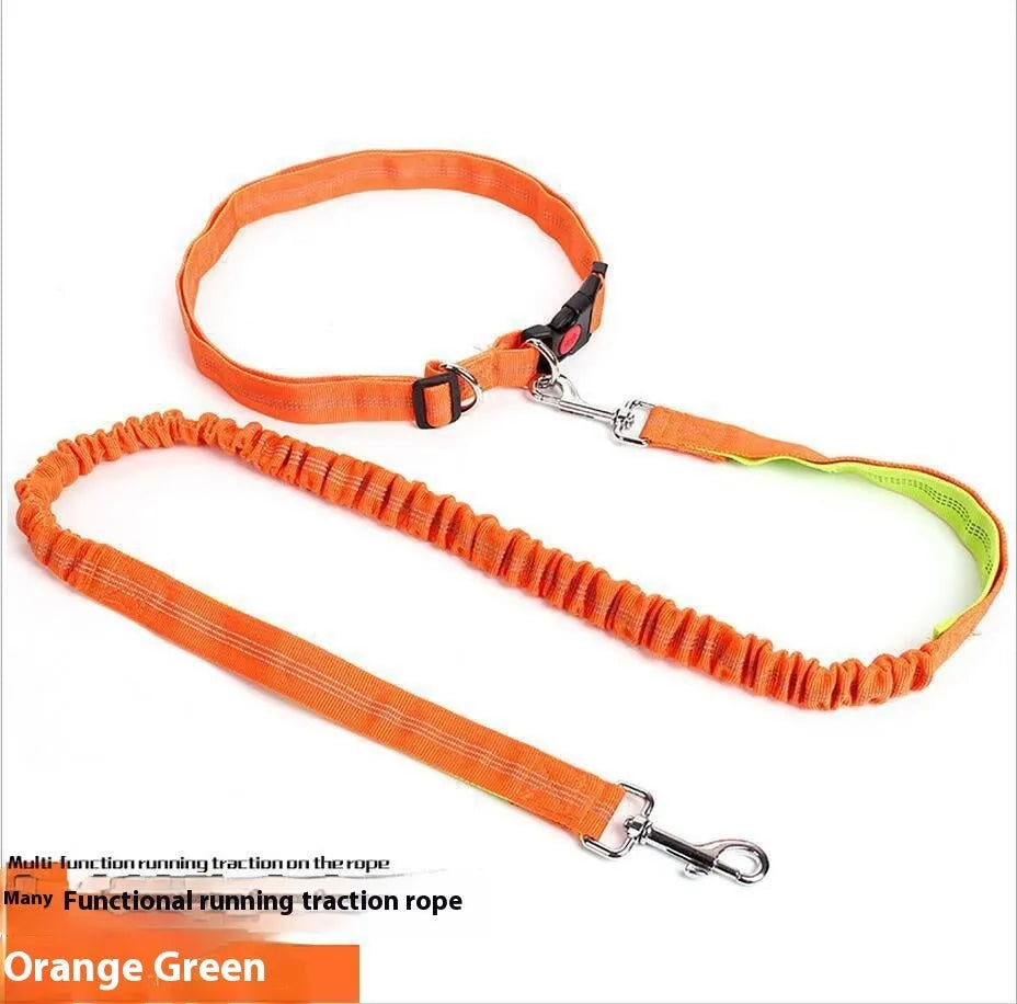 Reflective elastic dog leash with 2.5cm nylon sling in blue and red two-tone colour combination