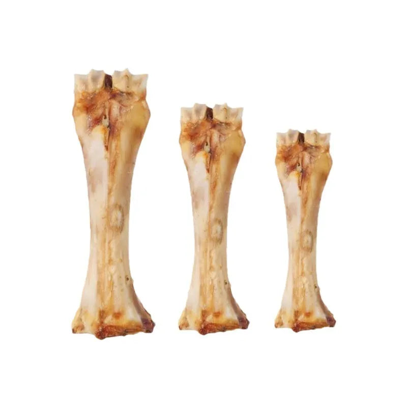 Large, Medium, Small puppy molar rod chew on a white background, roasted ox bone flavour.