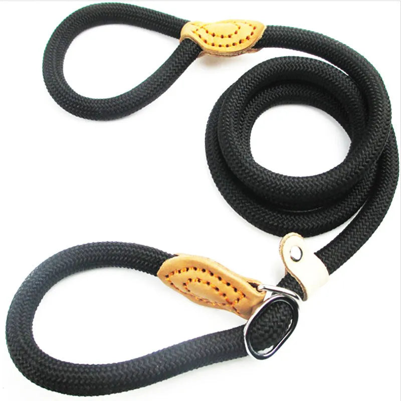 Brown nylon dog leash with P-chain clip measuring 2.1 metres long