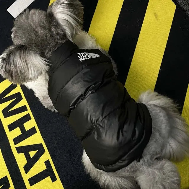 Thick black dogface down vest for small dogs autumn and winter clothing
