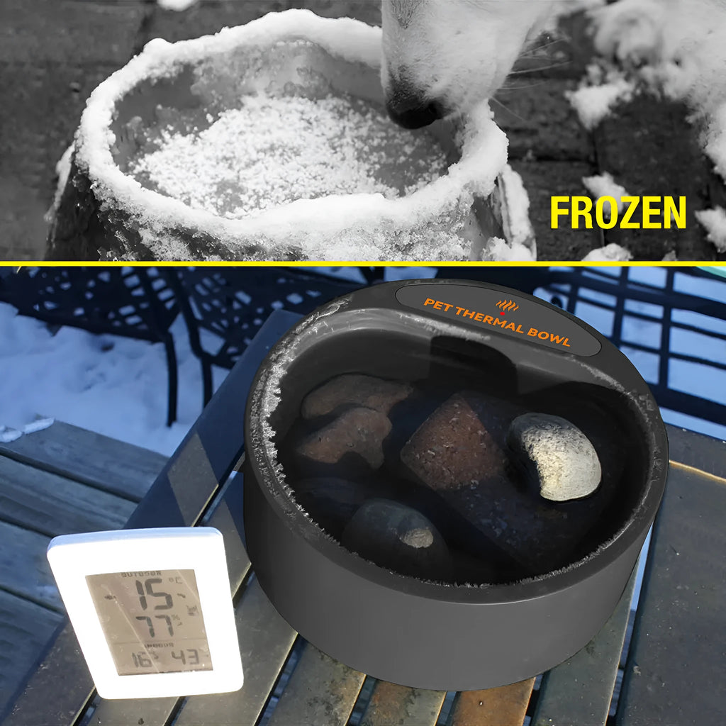 Black ABS plastic electric pet food warming bowl with a 2.2-litre capacity on a kitchen floor.