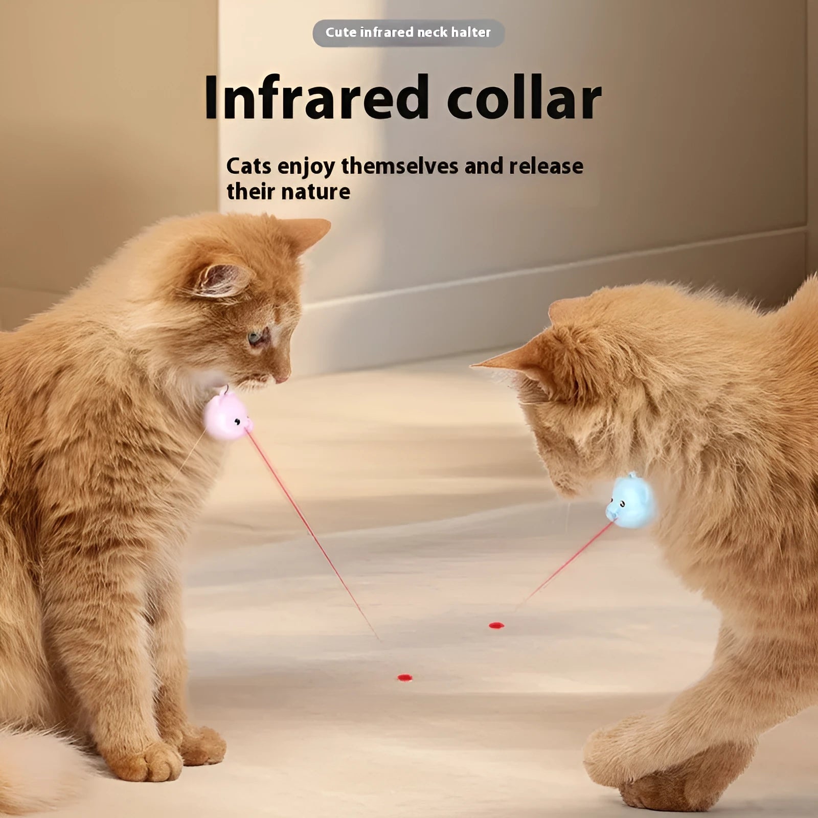 Rechargeable remote control cat infrared halter collar with adjustable strap in blue colour