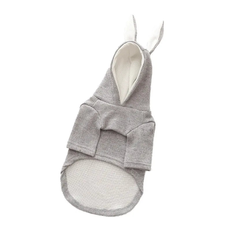 Light grey soft fabric dog sweater for spring and autumn, pullover style on a small dog