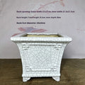 27cm square ceramic orchid pot with glazed retro red or white ice crack finish