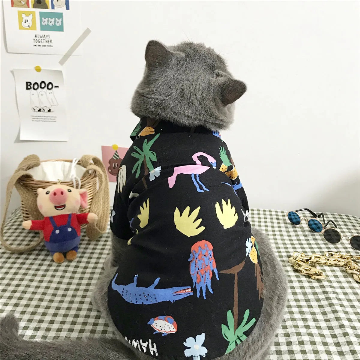 Summer cat shirt with straw hat necklace and glasses set for hair shedding reduction