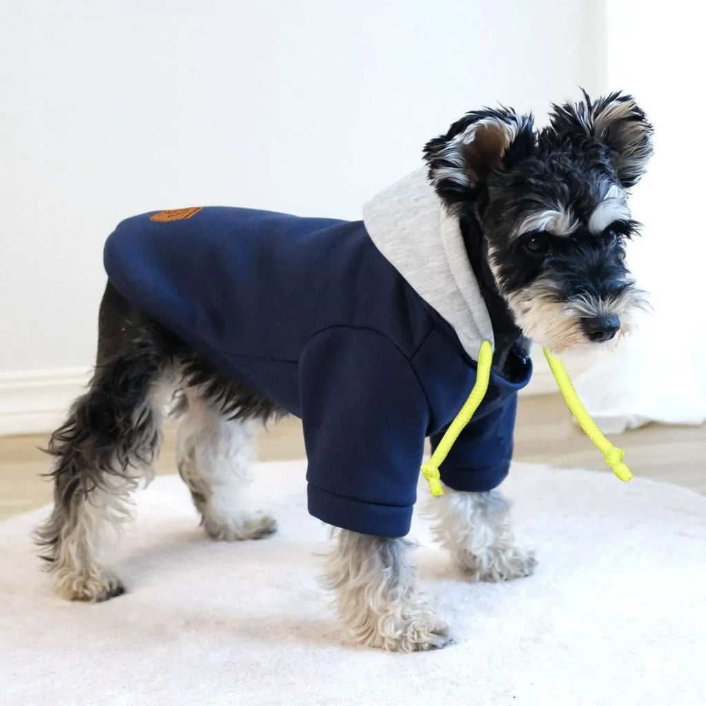 Dark red or navy blue polyester dog hoodie with contrast trim and simple pullover design