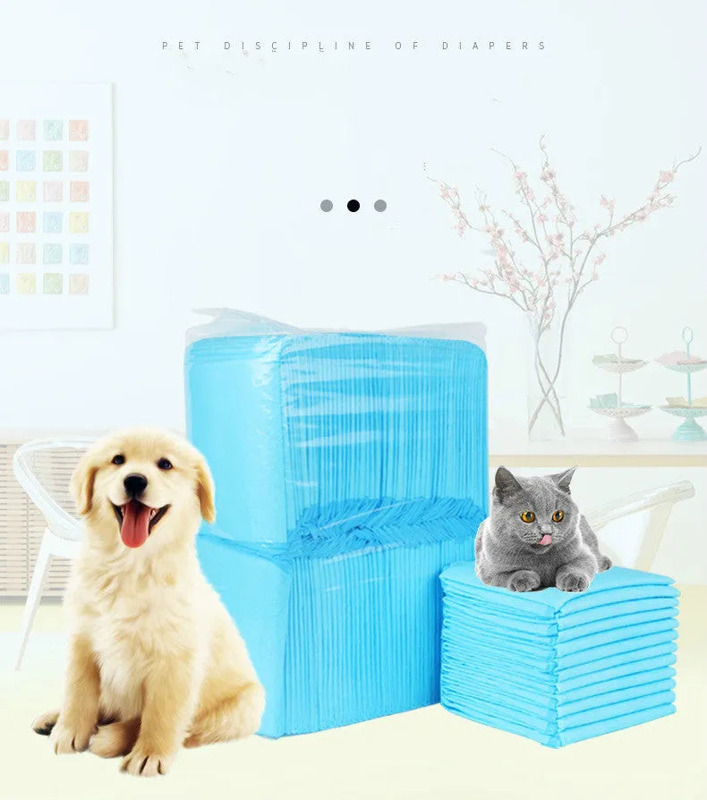 Pet Dad teddy thickened diaper pad for male and female cats and dogs, PE and non woven fabric construction