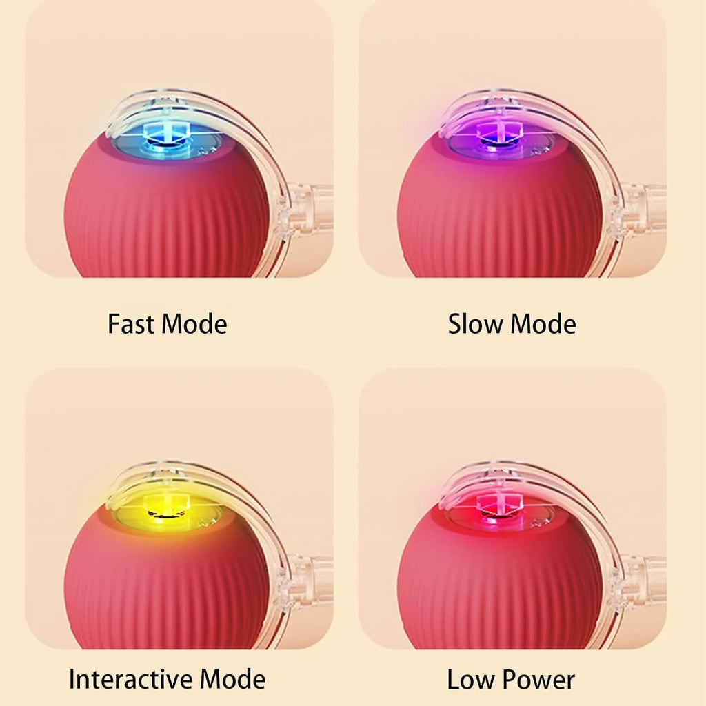 Interactive automatic rolling ball pet toy with rope tail in grey, green, and red colour options