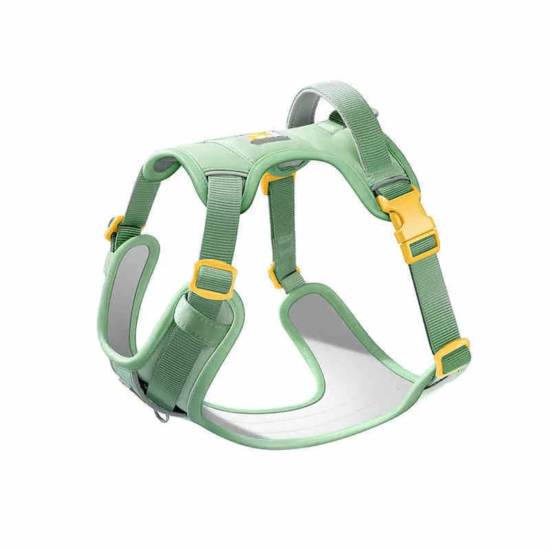 Adjustable dog chest harness with hand-holding rope in avocado green colour on medium-sized dog