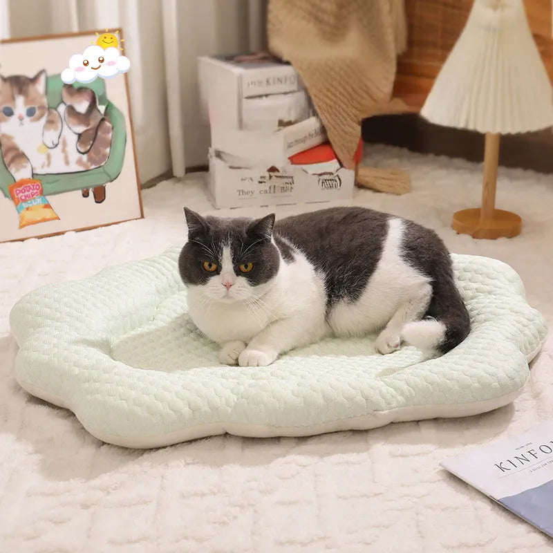Pet sleeping mat 70 x 55 cm sponge PP cotton filled cat dog bed in grey green pink yellow