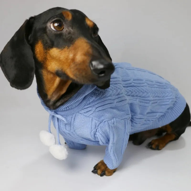 Two-leg hooded pet sweater in sky blue or beige, blended fabric, sizes XS to XL for autumn and winter warmth