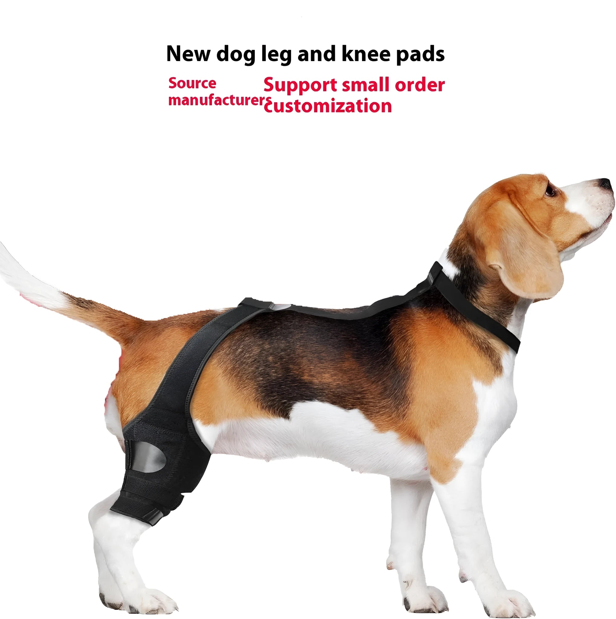 Adjustable neoprene dog knee brace strap for hind leg support, shown in sky blue colour.