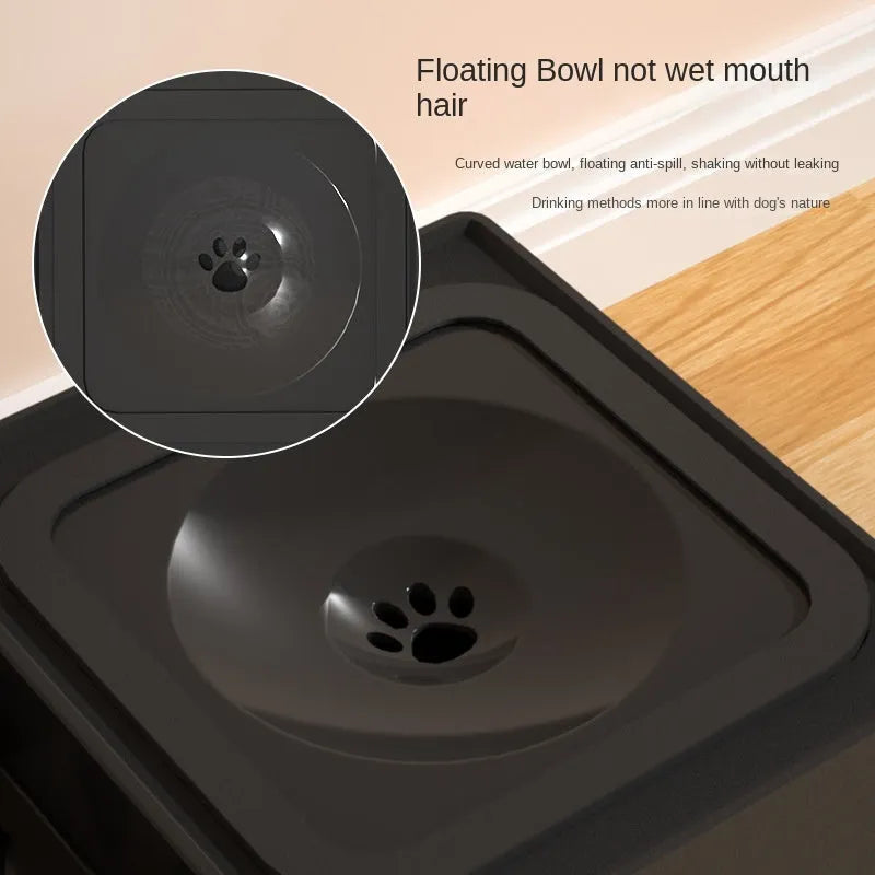 Adjustable height black dog feeding stand with two stainless steel bowls on non-slip base