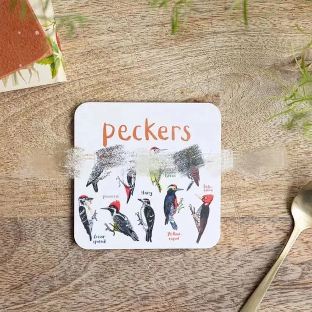 Set of six square bird pun coasters with different bird chart illustrations on white background