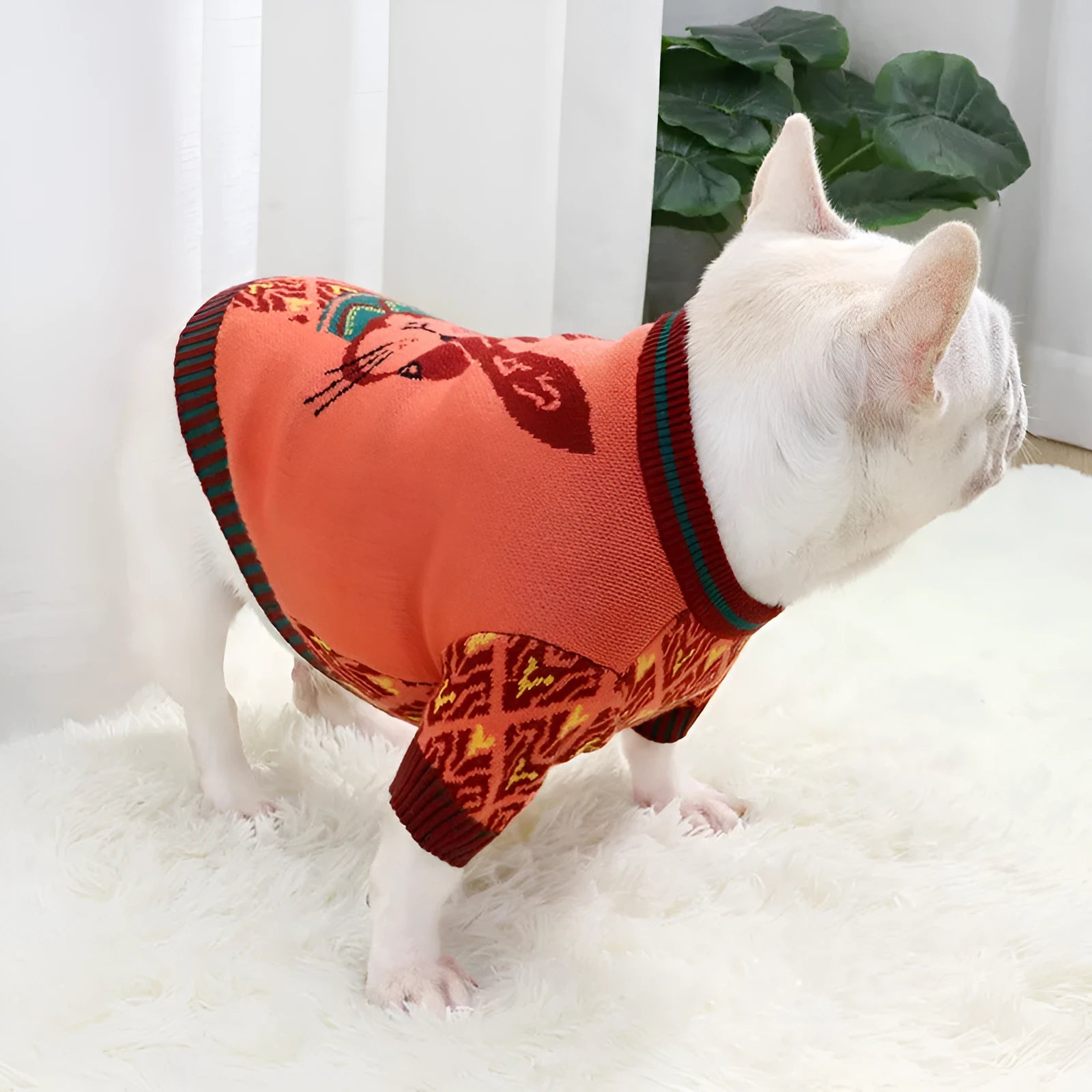 Cartoon print wool dog sweater for small medium dogs in rabbit, pig, strawberry and floral designs.