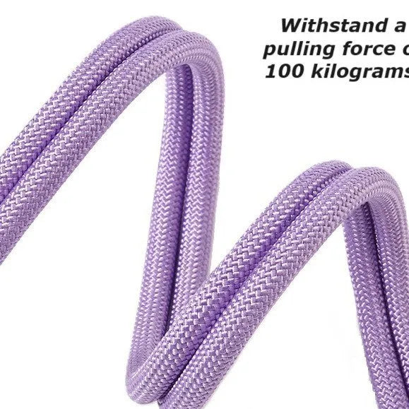 Nylon dog lead with foam handle showing black, light purple, sky blue and yellow colour options