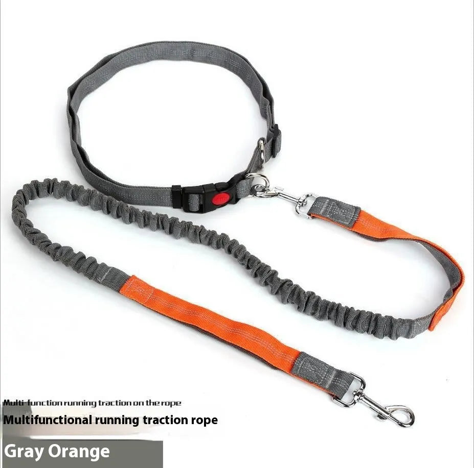 Reflective elastic dog leash with 2.5cm nylon sling in blue and red two-tone colour combination