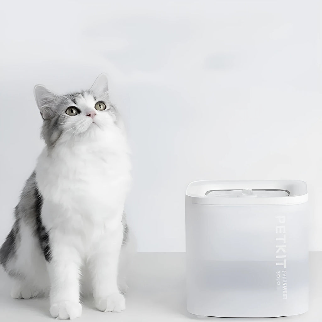 Xiaopei Solo smart pet water dispenser with filter for dogs and cats