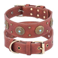 Retro high-end leather dog collar in brown with monochrome pattern for medium and large dogs