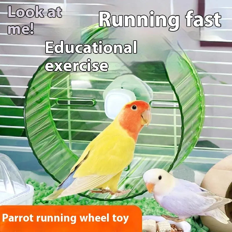 A plastic parrot running wheel toy, shown in transparent colour, for bird cage exercise.