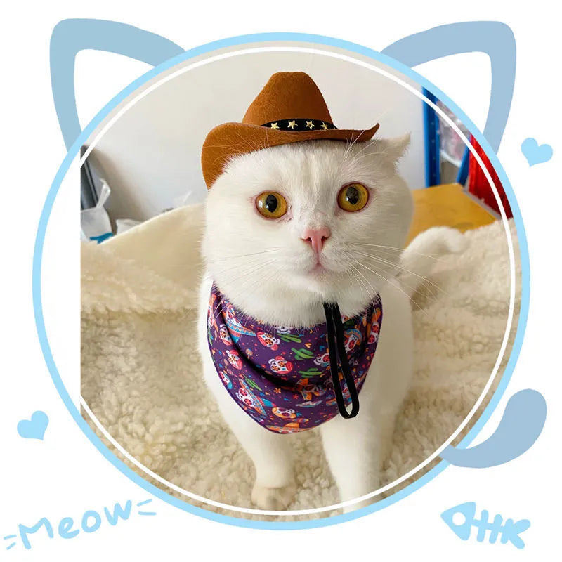 Black star pattern cowboy hat on pet with adjustable strap