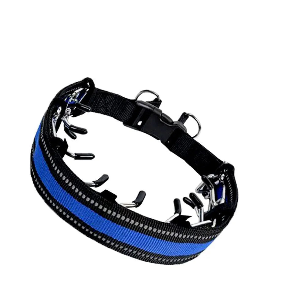 Dog training chain collar with adjustable spike design in reflective blue colour option