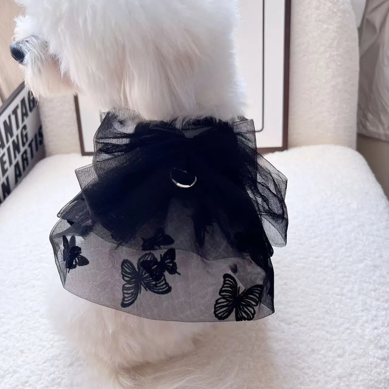 Black layered tulle princess skirt on a small dog, showing chest fit and full skirt silhouette.
