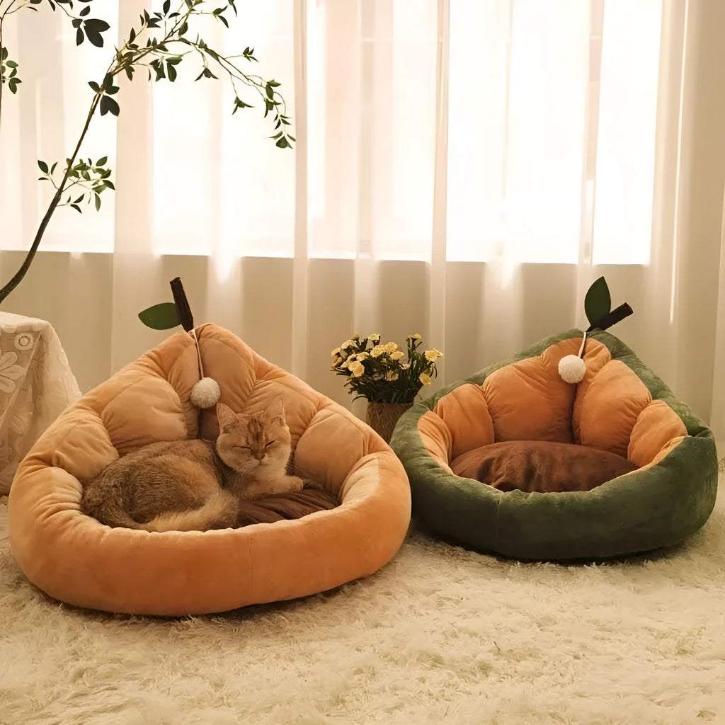 Soft green cotton enclosed pet bed house with removable cushion for a cat