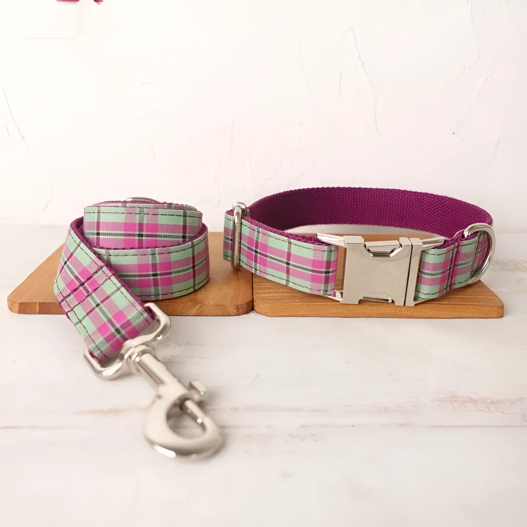 Mint green integrated dog collar and leash set with adjustable sizing