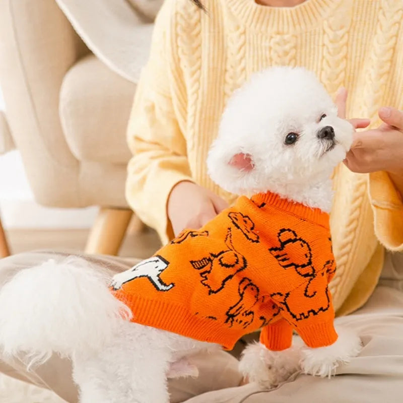 Small dog wearing a blue knitted winter sweater with a charming pattern, soft polyacrylic material