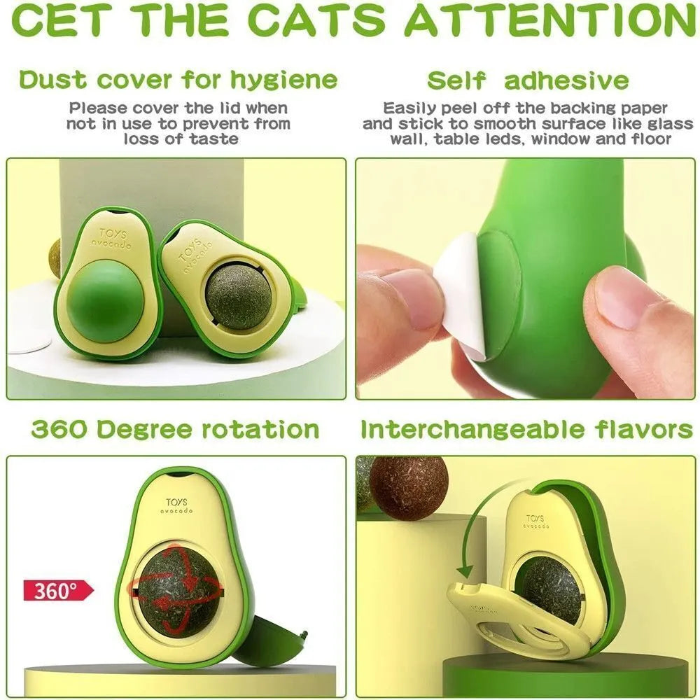 Avocado-shaped catnip wall toy attached to a smooth window with a silvervine ball for cat teeth cleaning