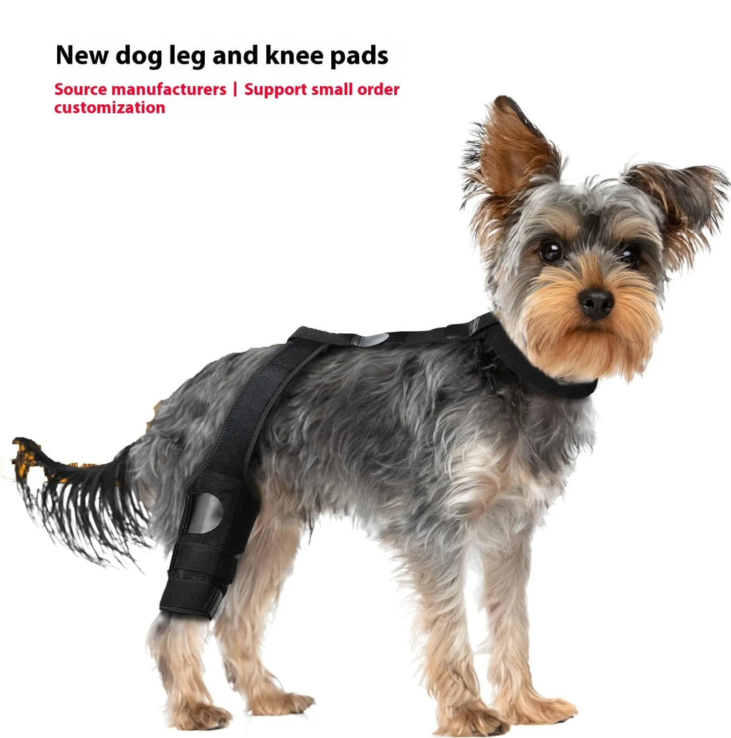 Adjustable neoprene dog knee brace strap for hind leg support, shown in sky blue colour.