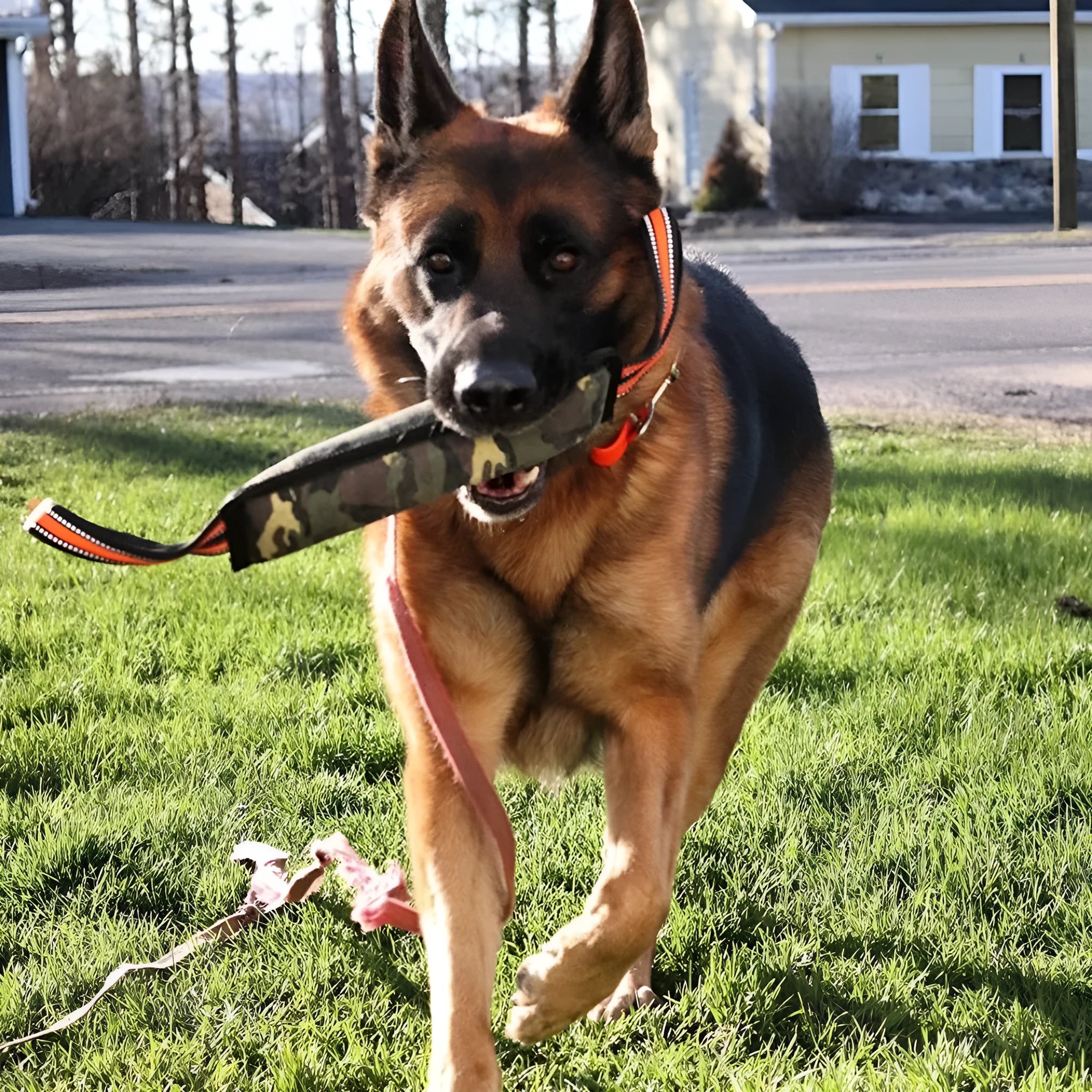 Reflective yellow-edged jute dog bite stick measuring approximately 55cm in length