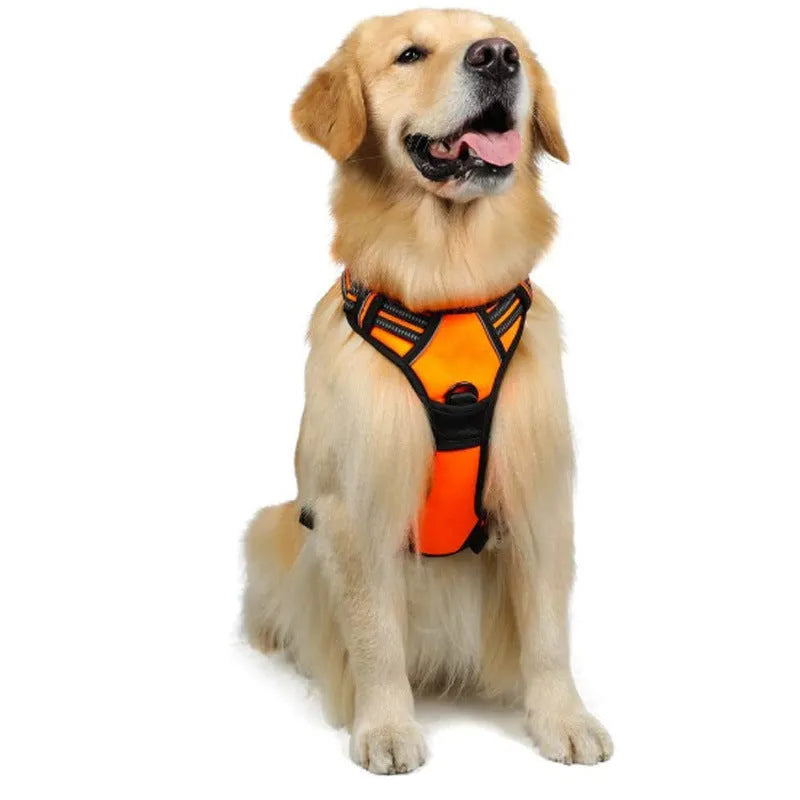 Adjustable nylon dog harness vest in blue, side view showing chest strap and buckle